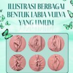 Labia dan vulva adalah bagian penting dari anatomi tubuh wanita yang seringkali kurang dipahami.