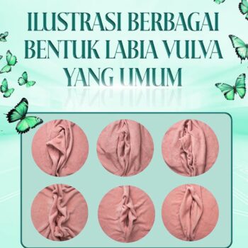 Labia dan vulva adalah bagian penting dari anatomi tubuh wanita yang seringkali kurang dipahami.